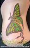 Large on side ribs